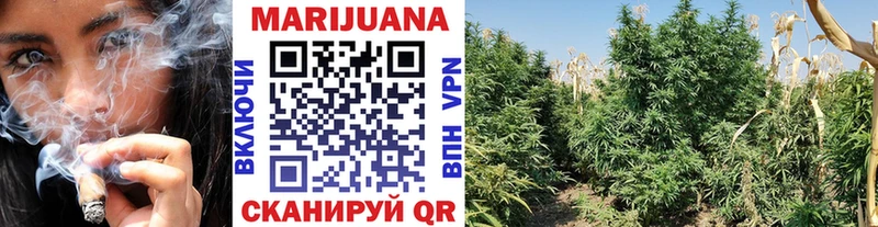 Где купить наркоту Качканар А ПВП  КОКАИН  blacksprut вход  МАРИХУАНА  Мефедрон 