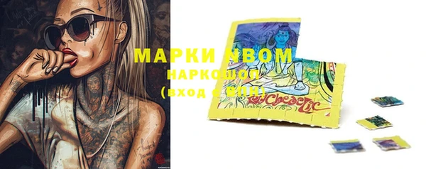 прущие грибы Бугульма