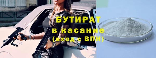 твердый Бородино