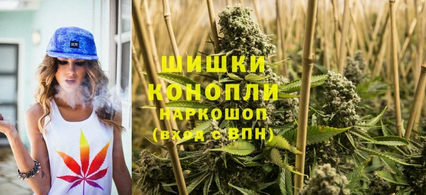 твердый Бородино
