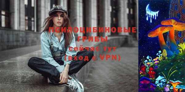 прущие грибы Бугульма