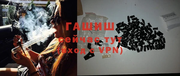 твердый Бородино