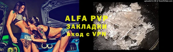 прущие грибы Бугульма