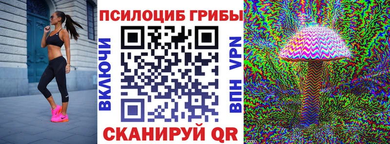 где купить наркоту  Качканар  Псилоцибиновые грибы прущие грибы 